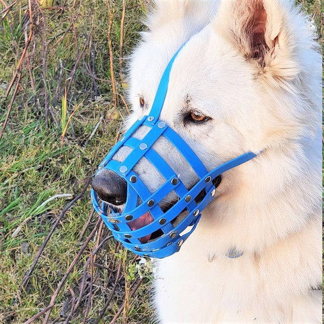 Colorful basket clearance muzzle