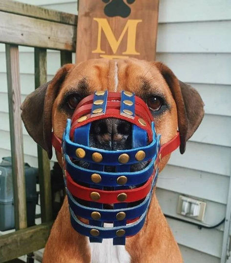 Colorful shop basket muzzle