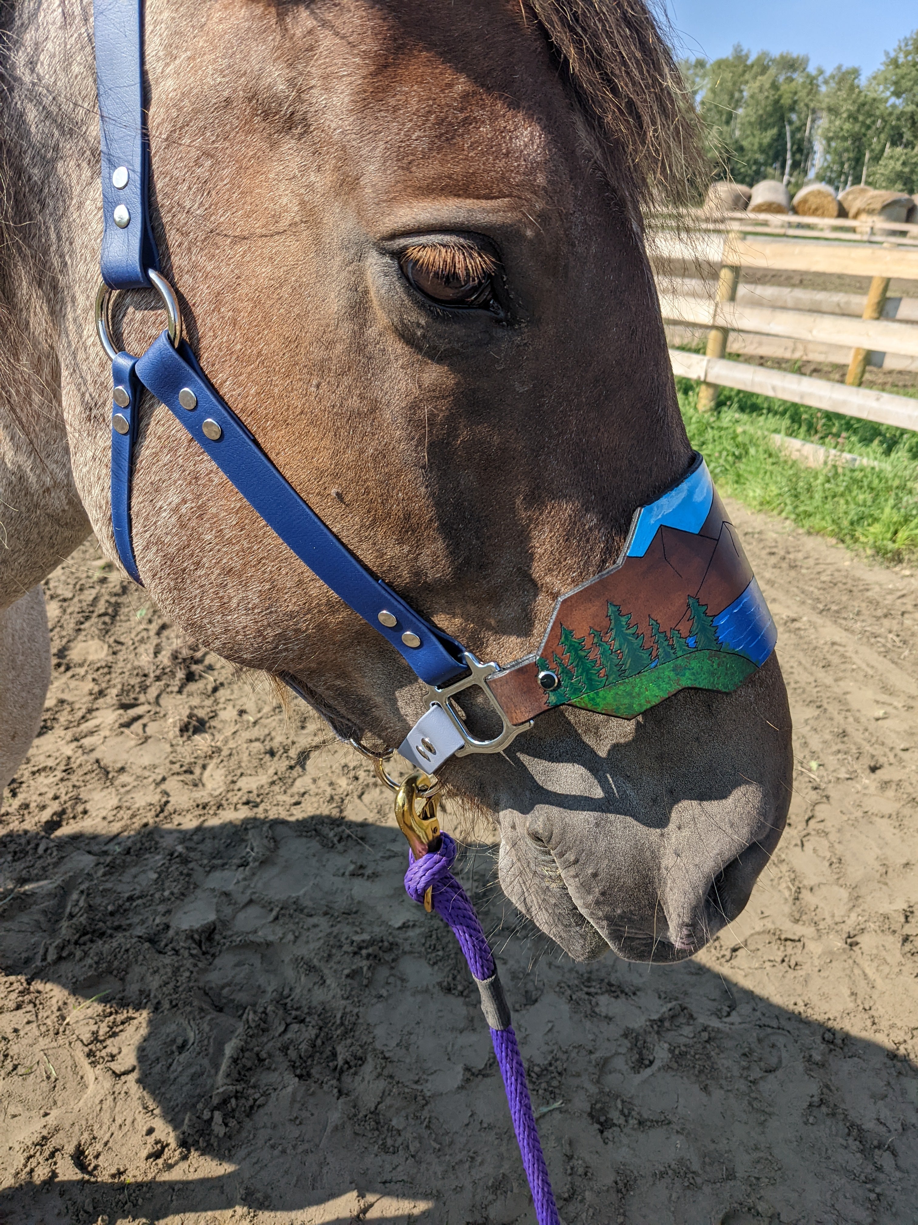 Custom Painted Bronc order Noseband Horse Halter