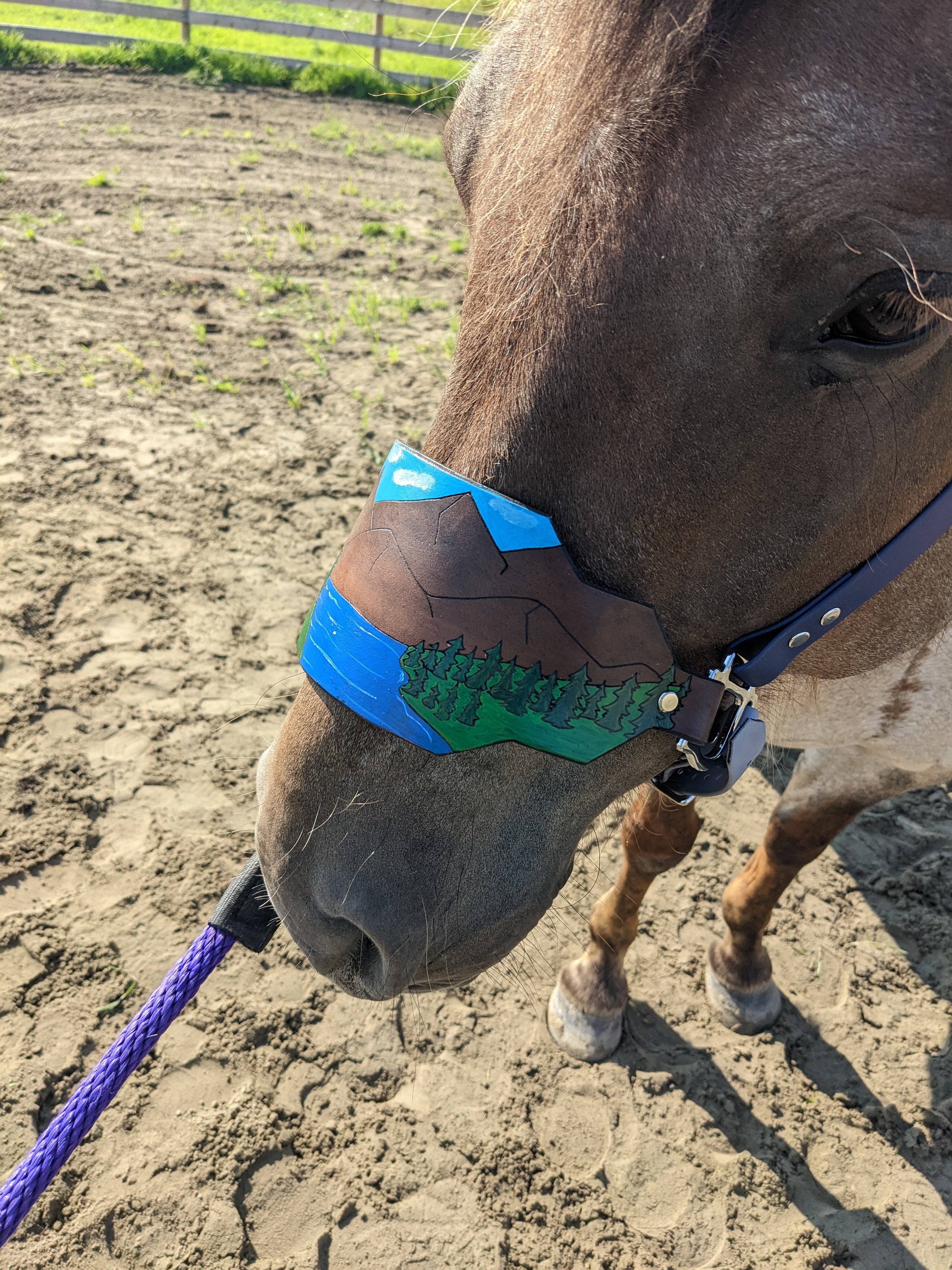 Custom Painted Bronc Noseband popular Horse Halter