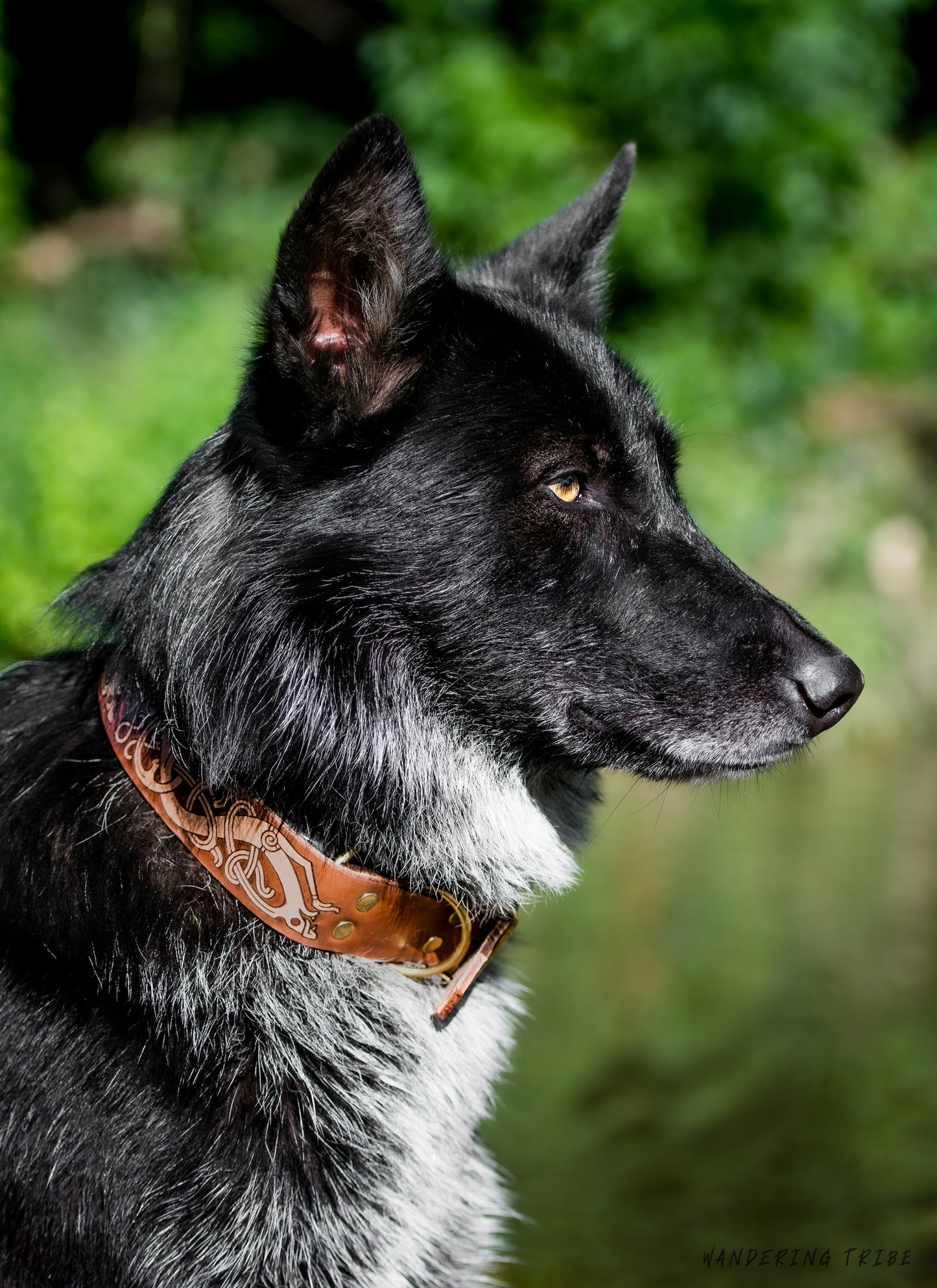 The Fenrir - Leather Dog Collar
