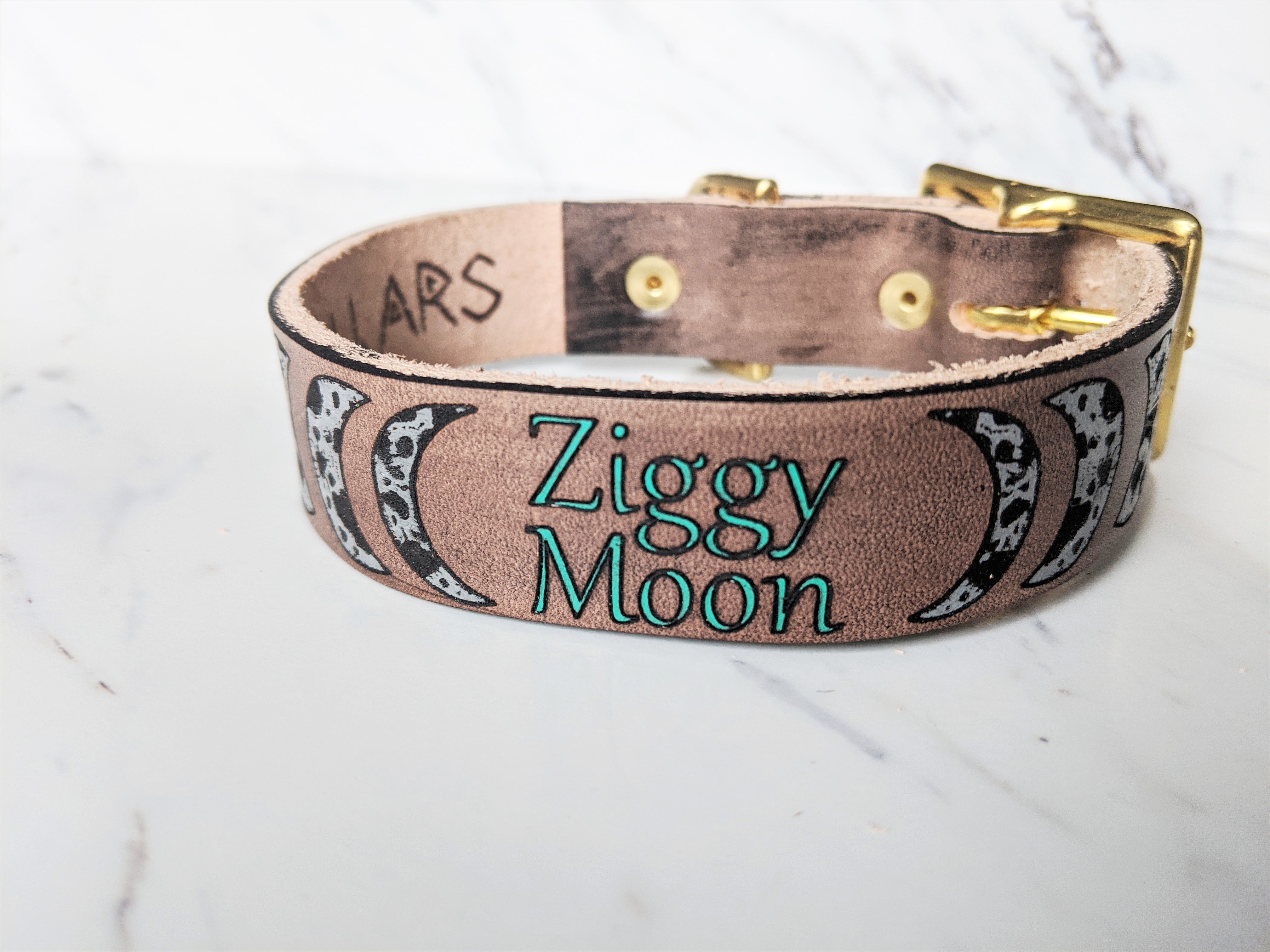 Dog best sale collar moon