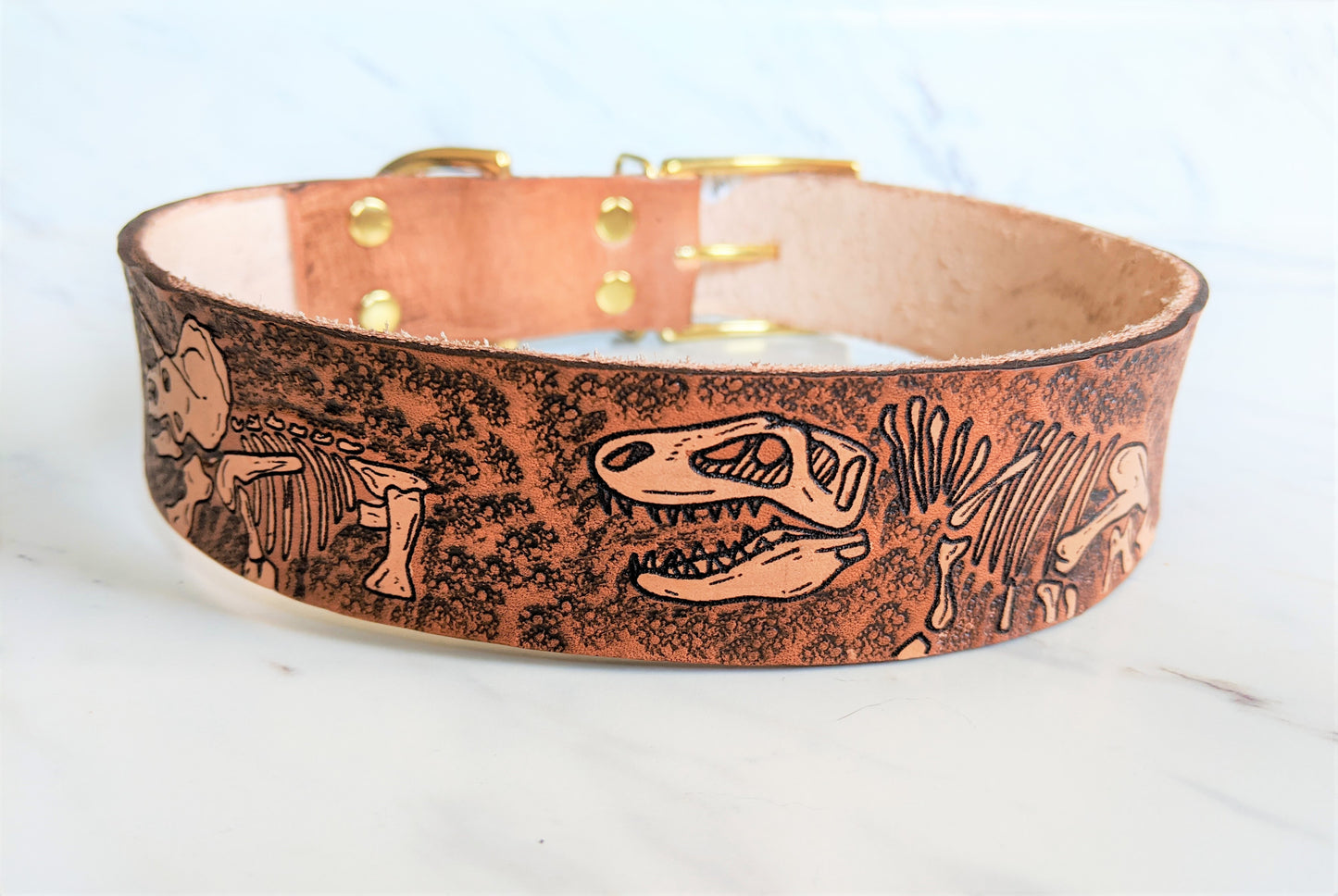 Jurassic Boneyard - Leather Dog Collar