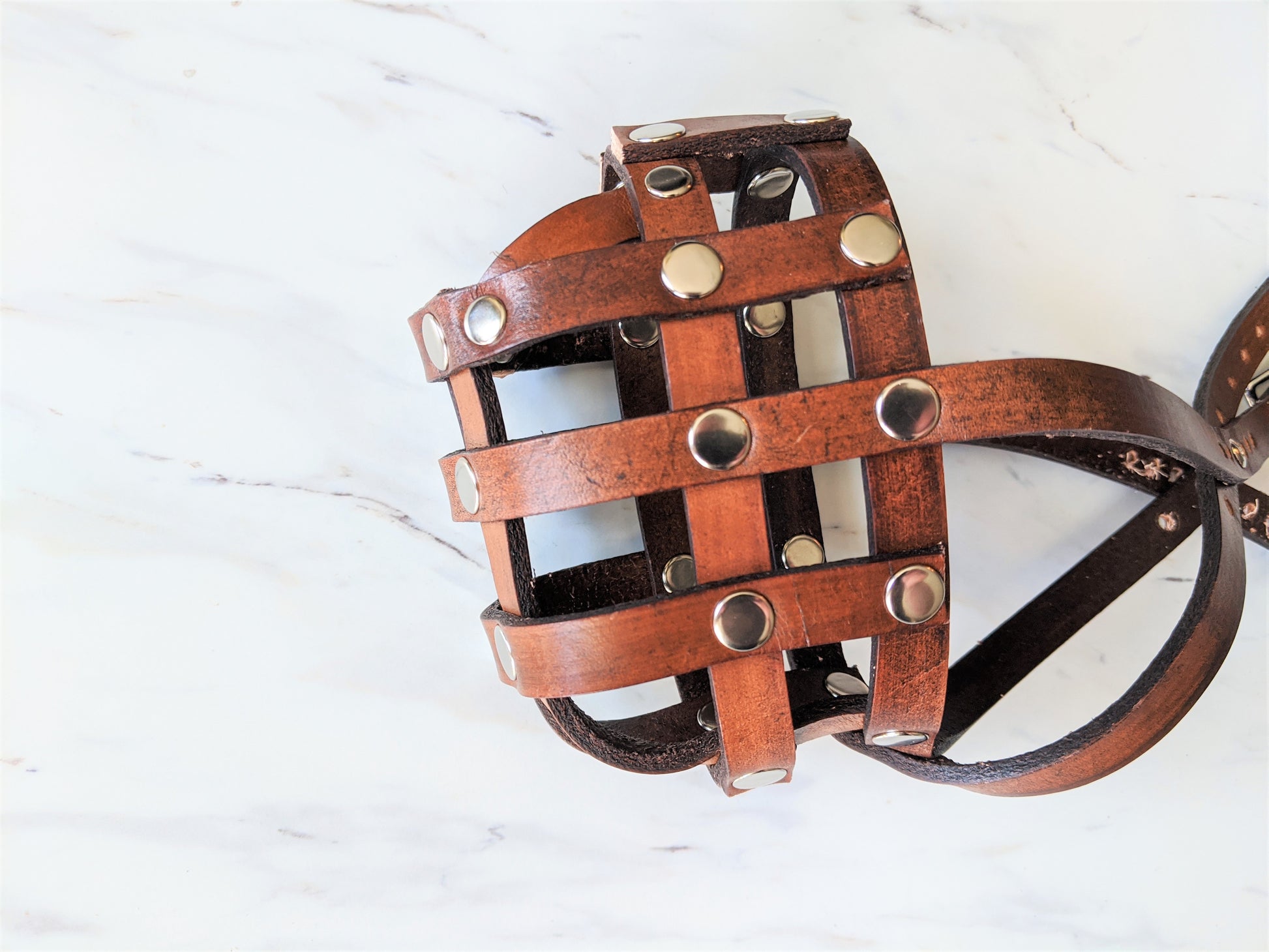 Leather Muzzle Replacement Head Strap Buckle