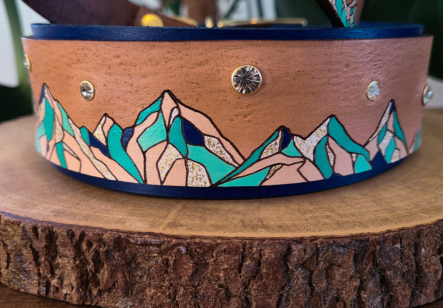 Mountain Sparkle Leather Panel Collar