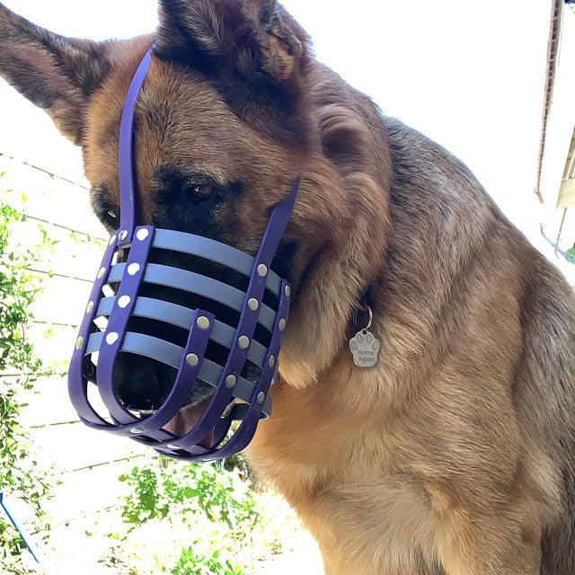 Basket style deals muzzle