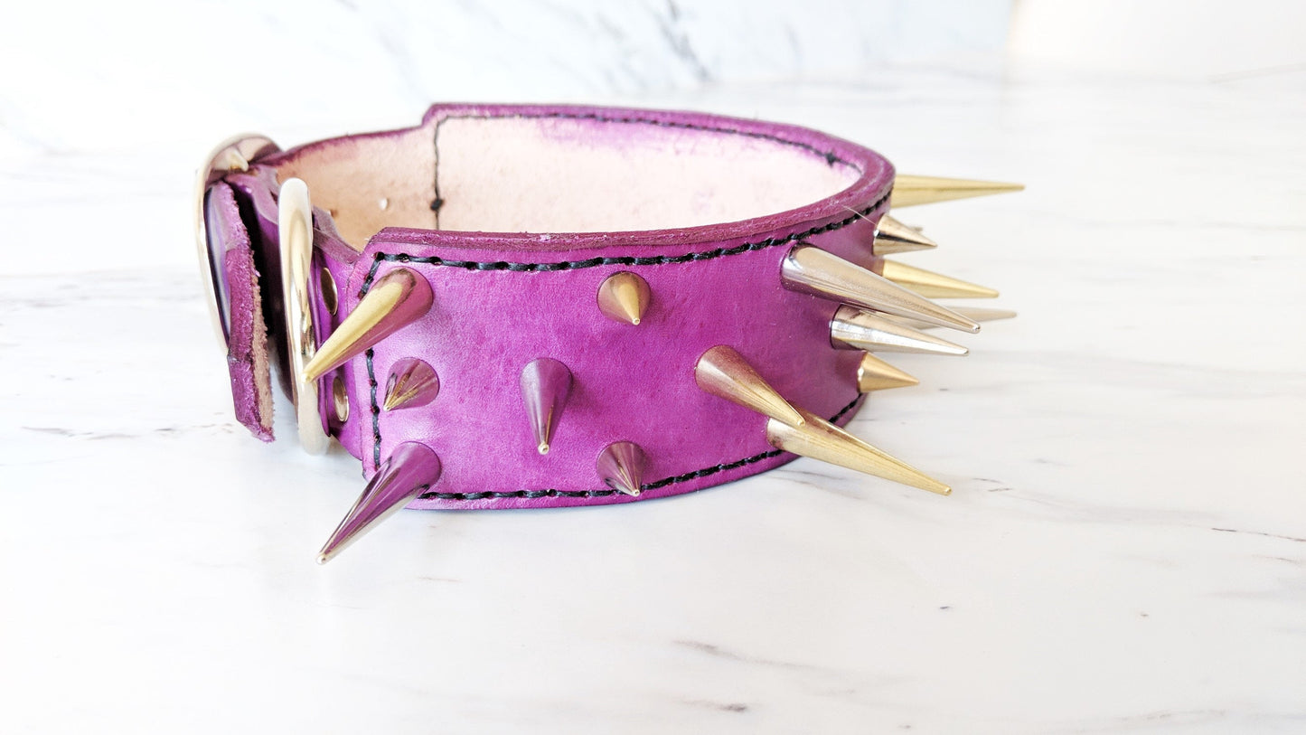 The Spike - Leather Dog Collar