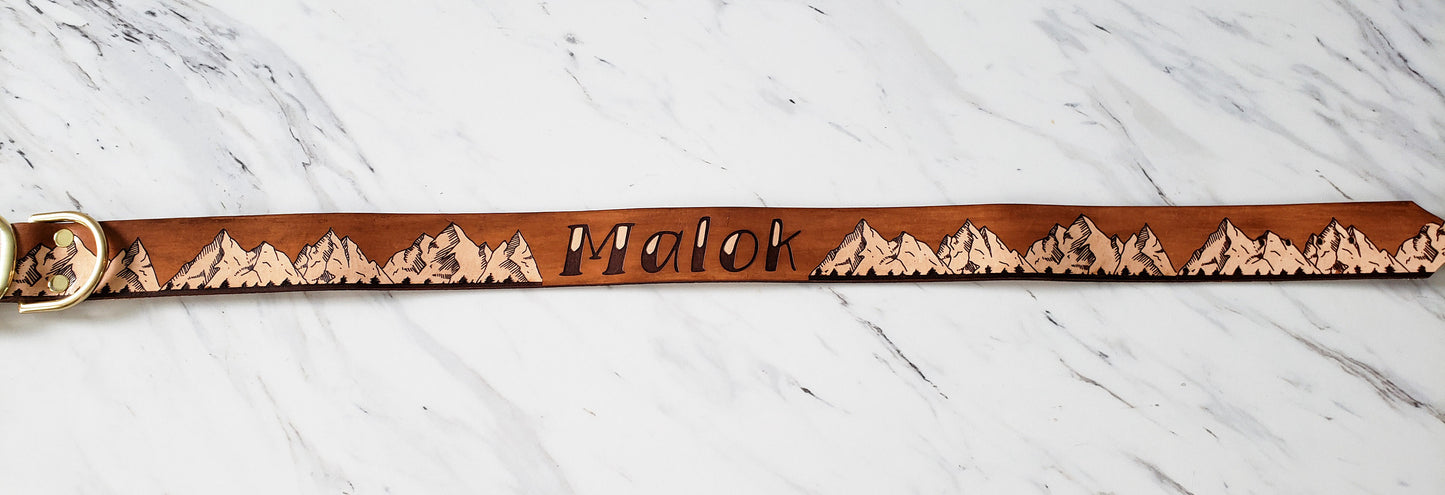 The Rockies - Leather Dog Collar