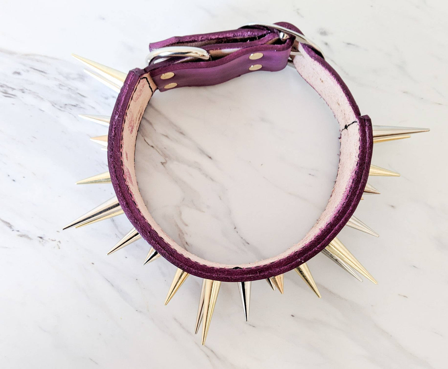 The Spike - Leather Dog Collar