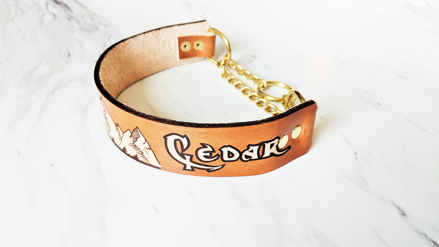 The Rockies - Leather Martingale Collar