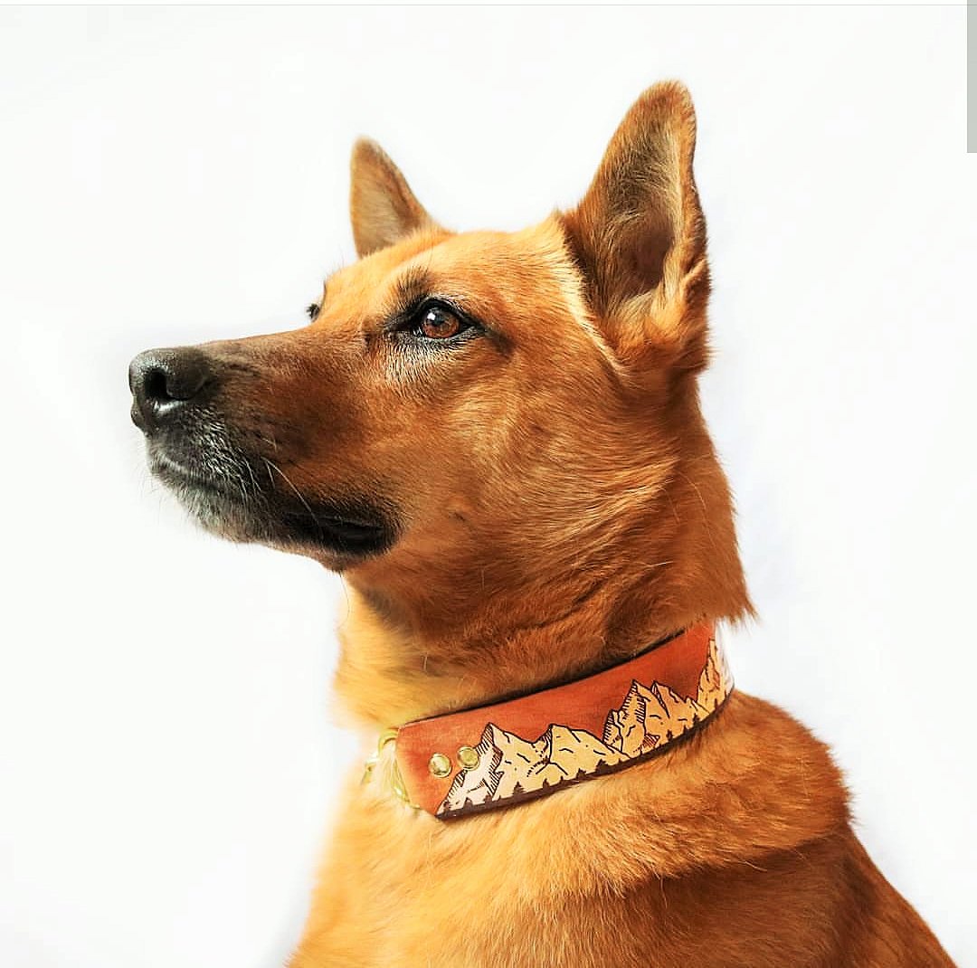 The Rockies - Leather Martingale Collar