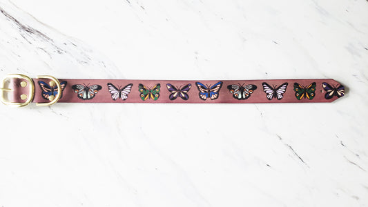 Butterfly Flutter - Leather Dog Collar
