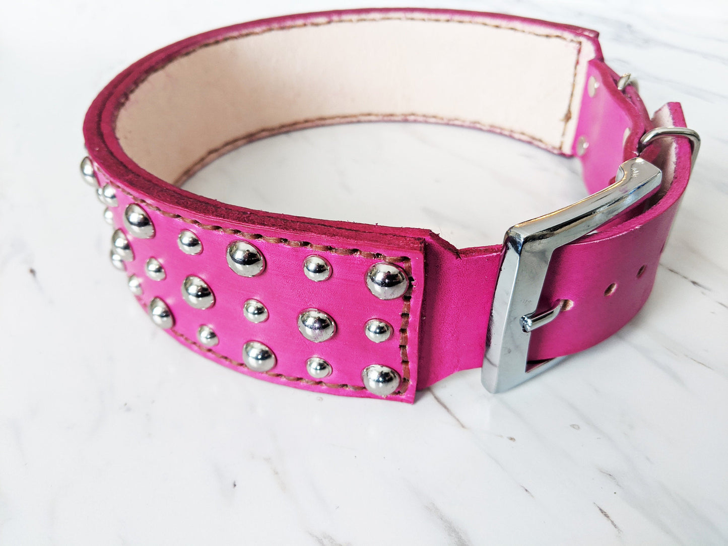 Colorful Stud - Leather Dog Collar