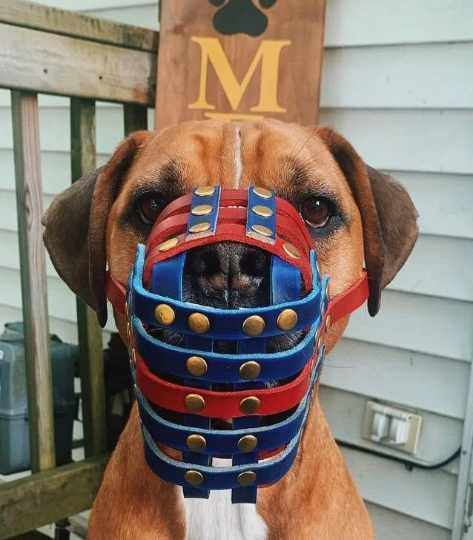 Basket Style Leather Muzzle with Open nose - Choose Your Colors - Level Two
